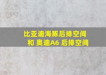 比亚迪海豚后排空间 和 奥迪A6 后排空间